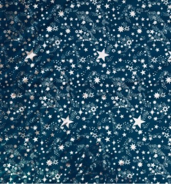 Rotolo cielo stellato argento cm.100x70