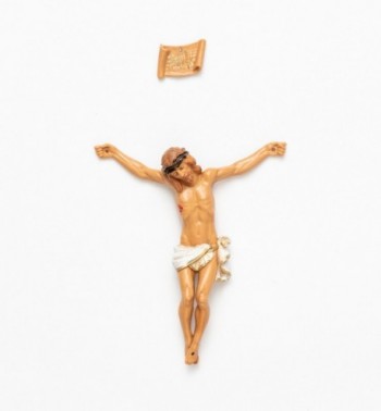Corpo di Cristo n.4/B cm.12